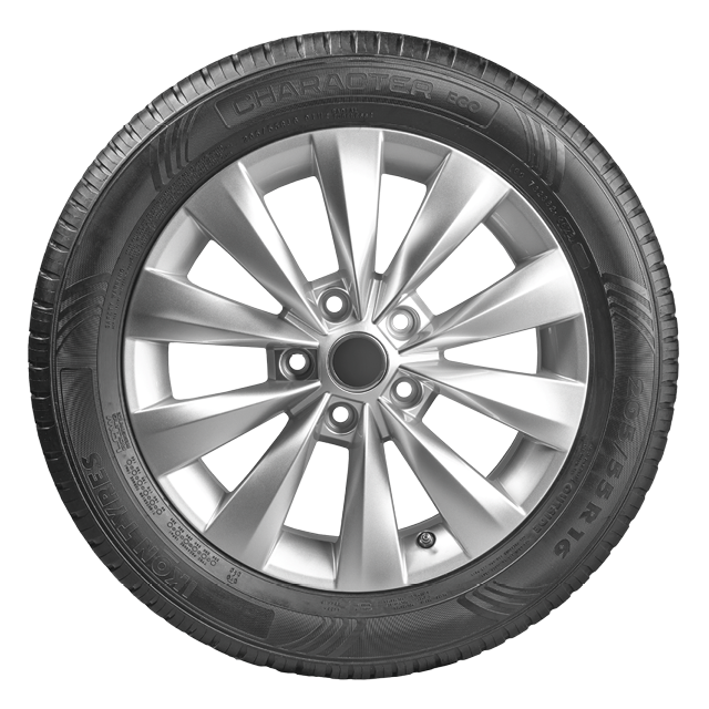 Ikon (Nokian Tyres) Character Eco (Nordman SX3) 195/55 R16 91H (XL) заказать
