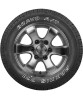 Maxxis AT771 Bravo 225/60 R17 103T (XL) заказать